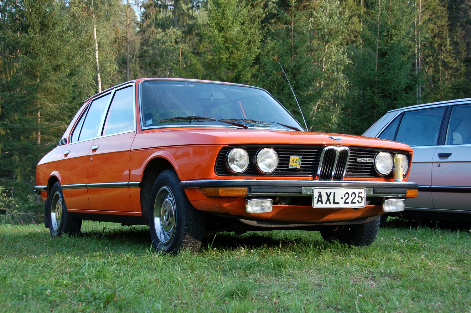 DSC_8240.jpg