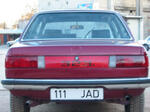 IMG 5654