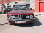 IMG 5498