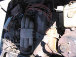 IMG 5506