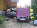 IMG 5927