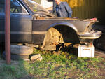 IMG 5939