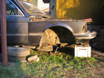 IMG 5940