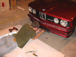 IMG 6238