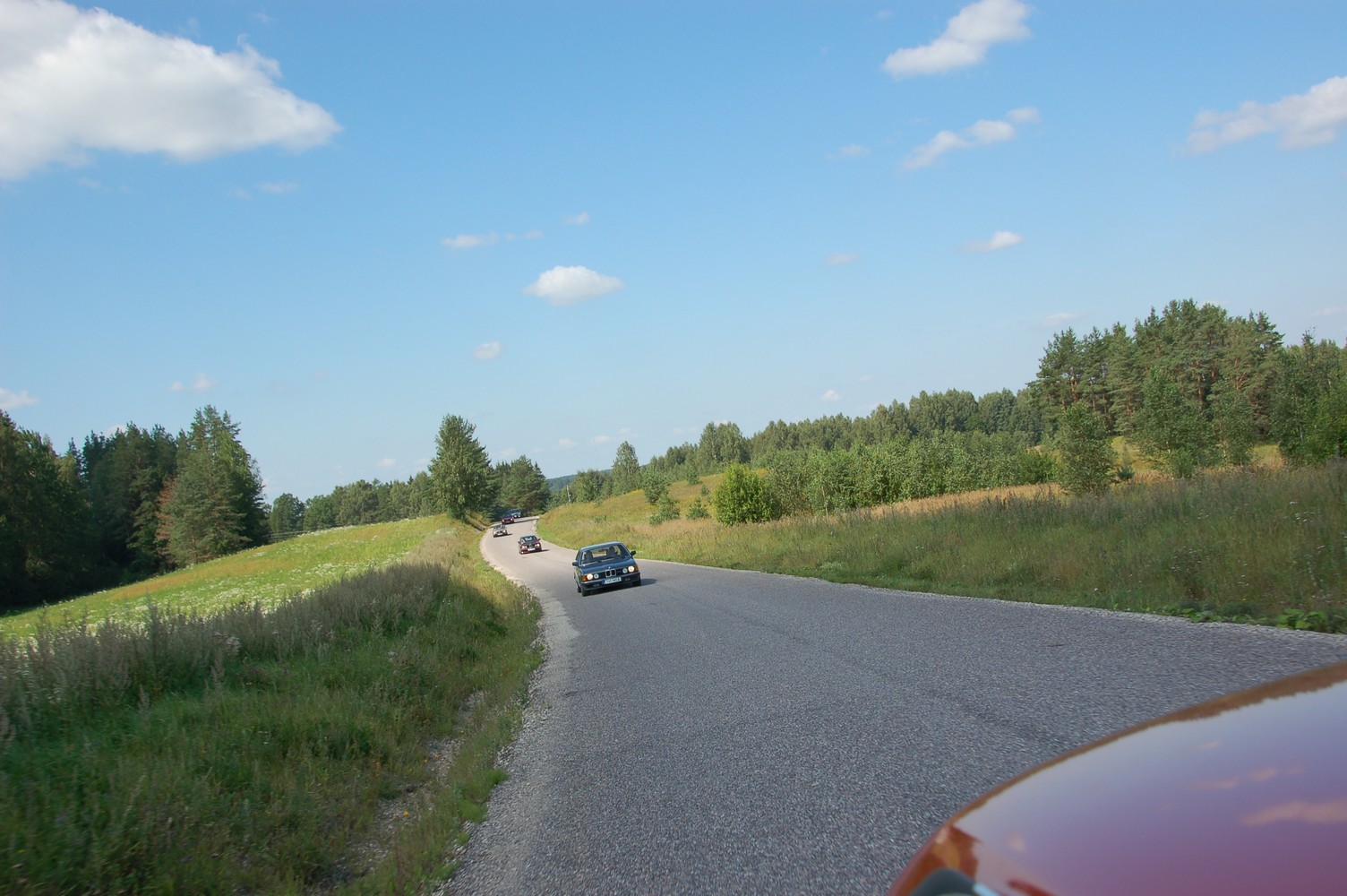 DSC_8310.jpg
