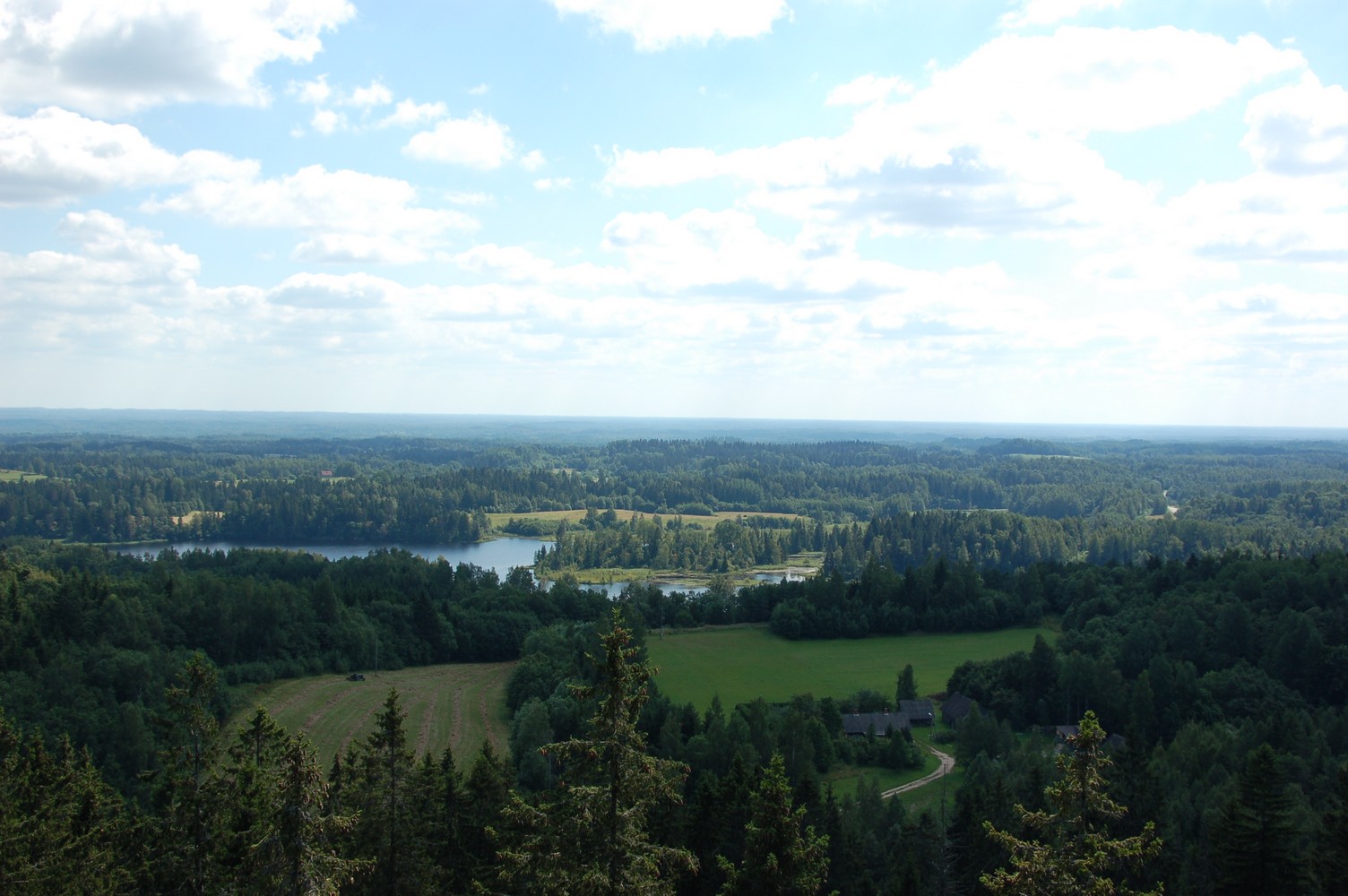 DSC_8330.jpg