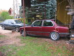 IMG 4373