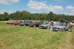 DSC_8339.jpg