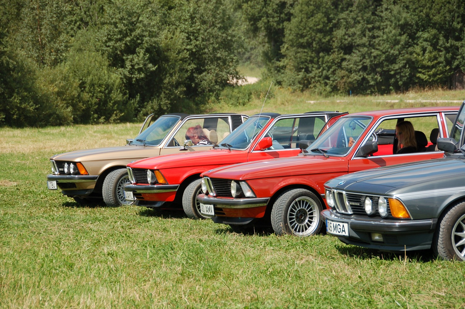 DSC_8340.jpg