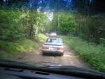 P1010003.JPG
