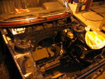 IMG_5559.jpg