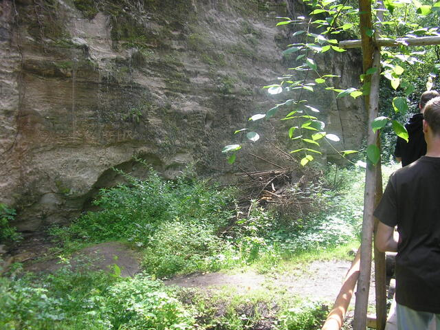 P1010008.JPG