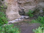 P1010009.JPG