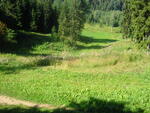 P8050024.JPG
