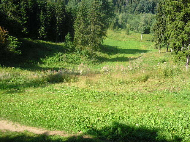 P8050024.JPG