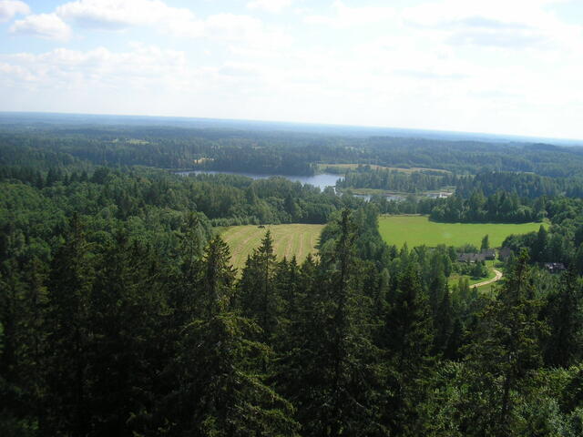 P8050026.JPG