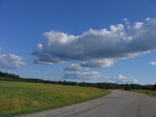 IMG_4347.JPG