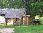 IMG_4369.JPG