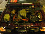 IMG 3742