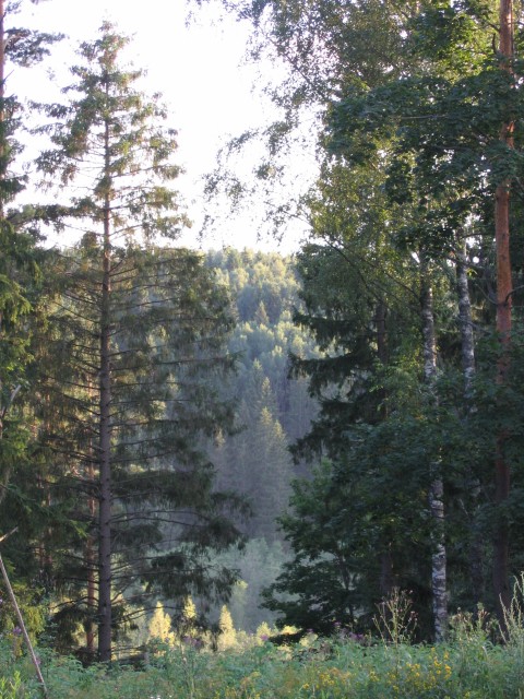 IMG_4395.JPG