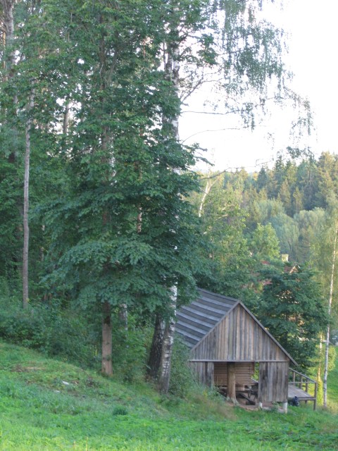 IMG_4397.JPG