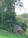 IMG_4397.JPG