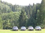 IMG_4427.JPG