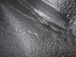 IMG 6159