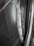 IMG 6229