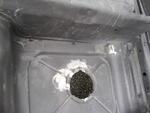 IMG 6509