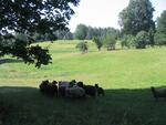 IMG_4448.JPG