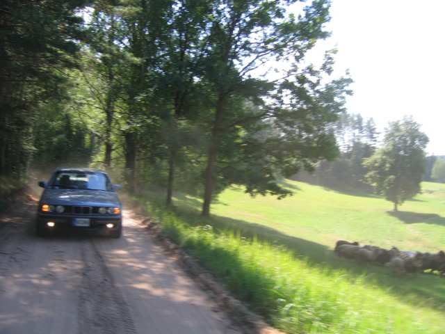 IMG_4449.JPG