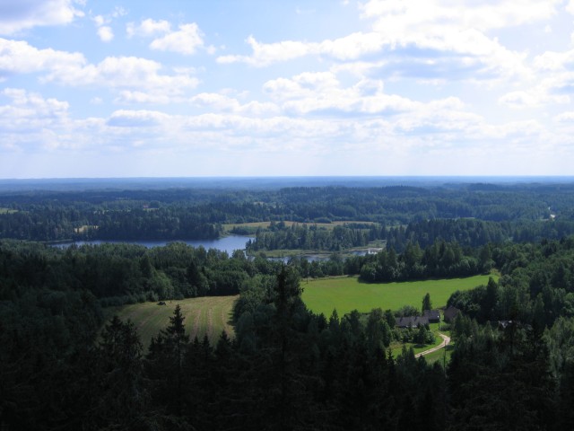 IMG_4463.JPG