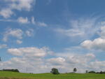Haininad 2007 033.jpg