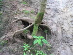 Haininad 2007 068.jpg