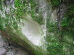 Haininad 2007 069.jpg