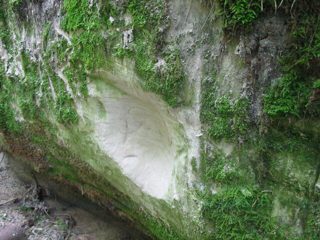 Haininad 2007 069.jpg