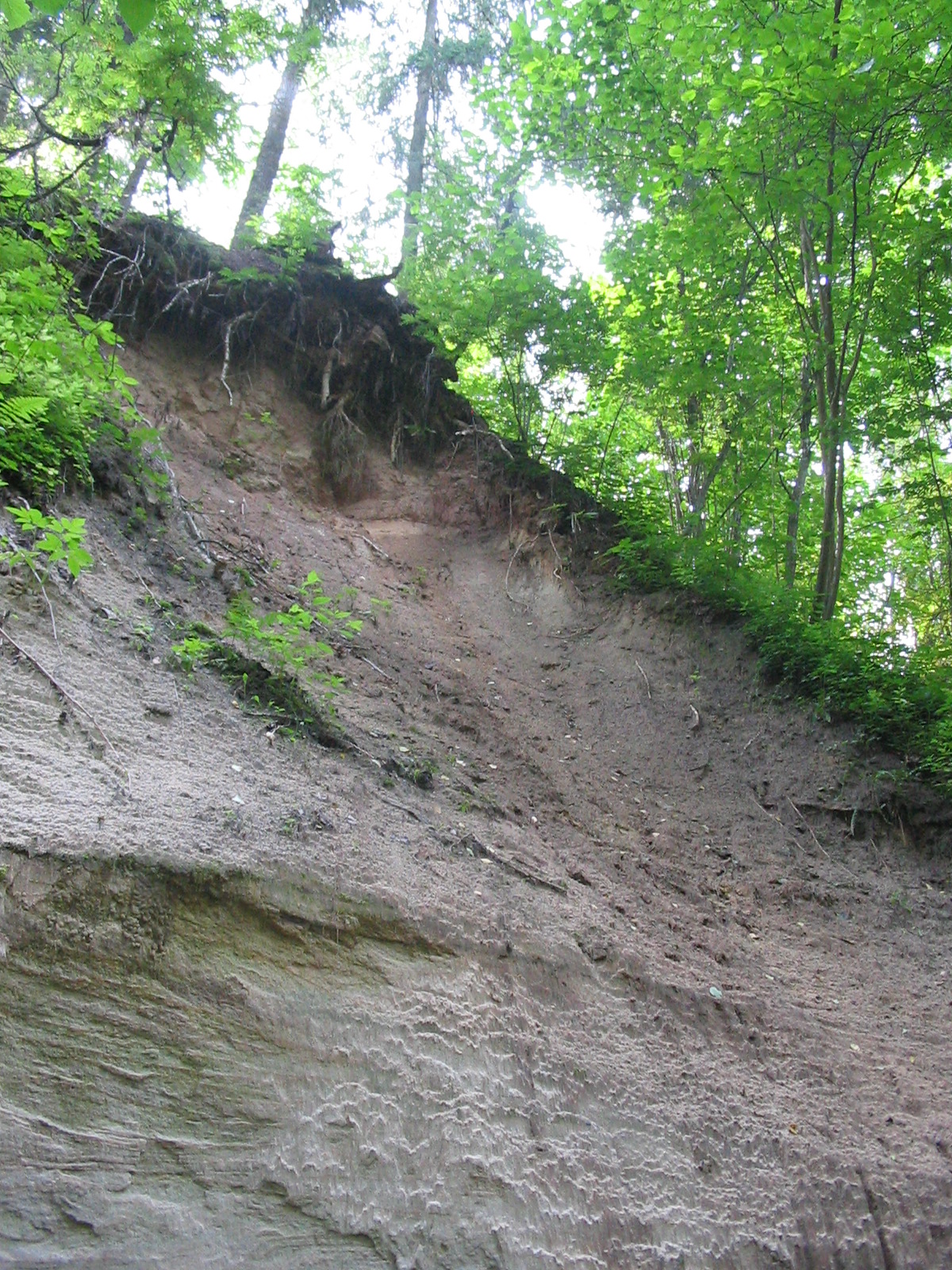 Haininad 2007 073.jpg
