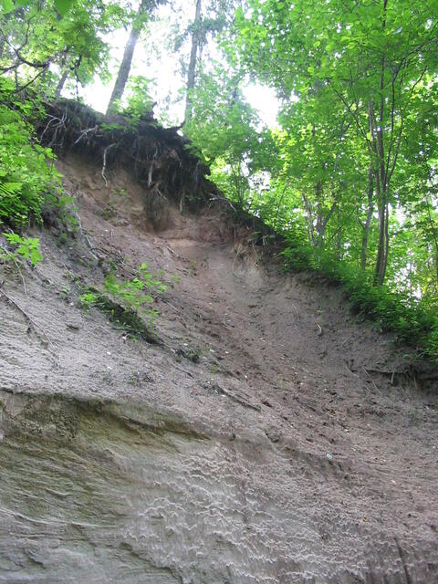Haininad 2007 073.jpg