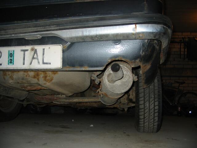 IMG 3684