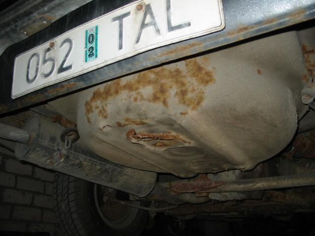IMG 3686