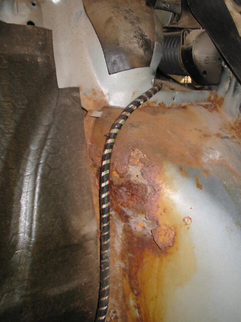 IMG 0311