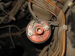 IMG 0354