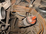 IMG 0355