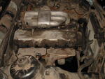 IMG 0380