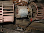 IMG 0426