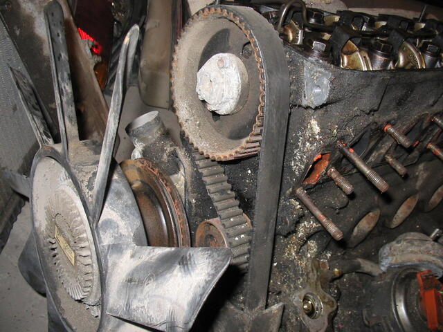 IMG 0677