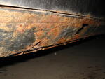 IMG 0570