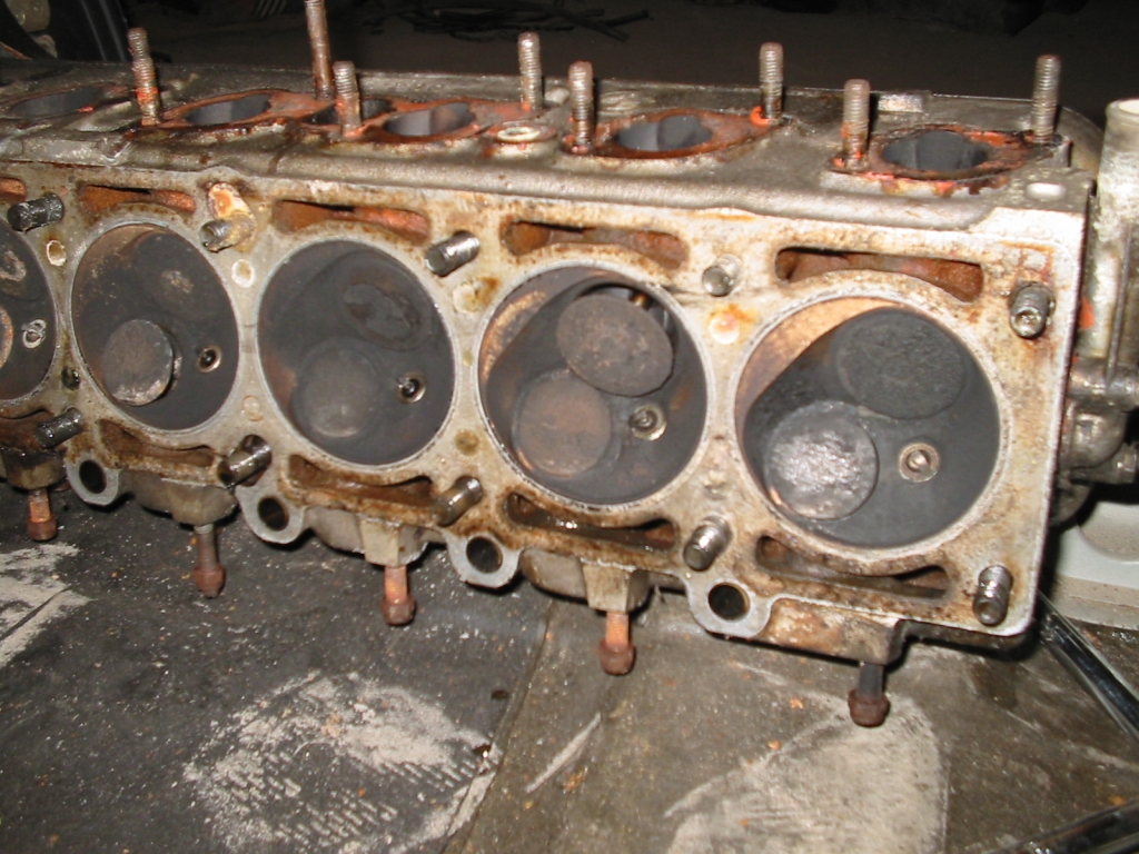 IMG 0581