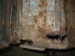 IMG 4196